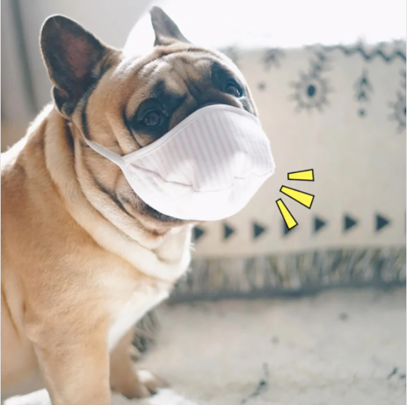 Pet Protective Mask Three Layer Face Mask For Dogs