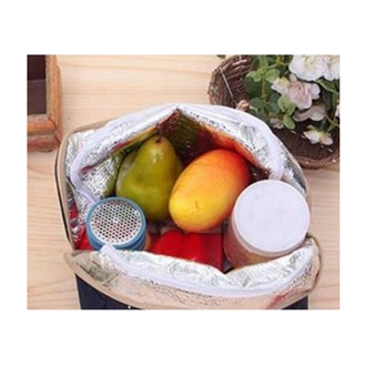 Cute Portable Pink Canvas Waterproof Adorable Aluminium Insulated Lunch Box Bag