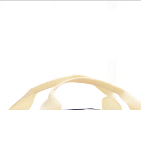 Cute and Stylish Blue Canvas Cartoon Lunch Box Bag