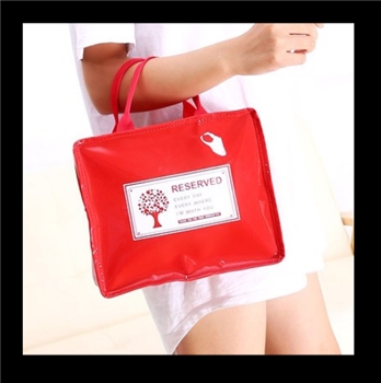 Multi-Color EVA Waterproof Small Size Lunch box Bag for Women