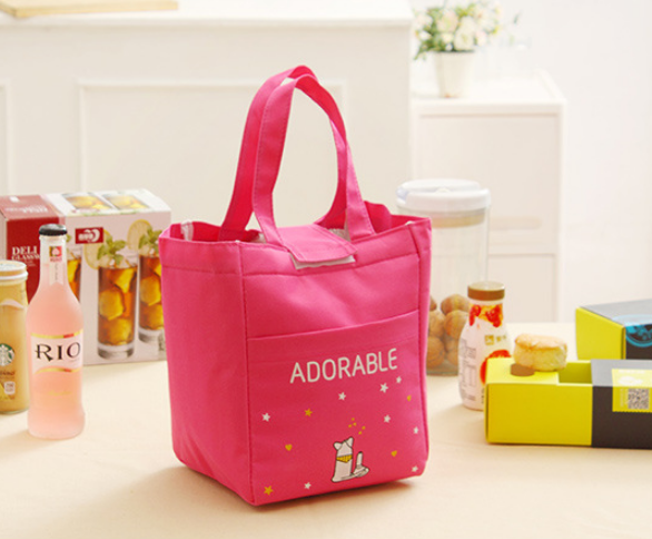 Pink Canvas Lunch Bag for Girls
