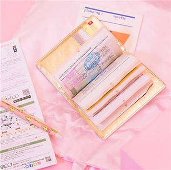 PU Leather Hologram Passport and Card Holder Wallet for Women