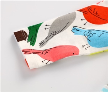 Cotton Birds Printed Dress for Girls