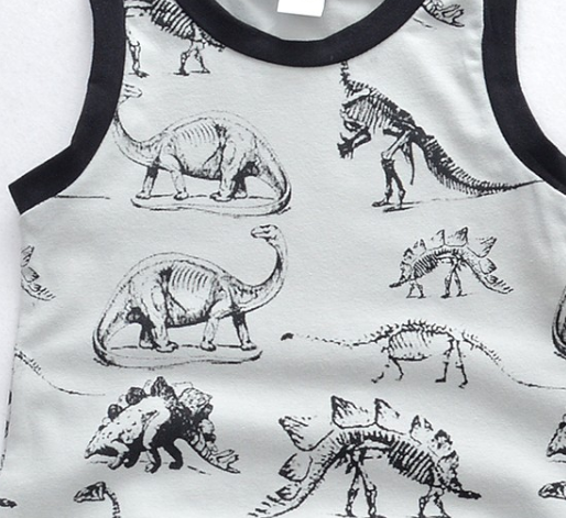 Grey Cotton Dinosaur Printed Romper for Kids