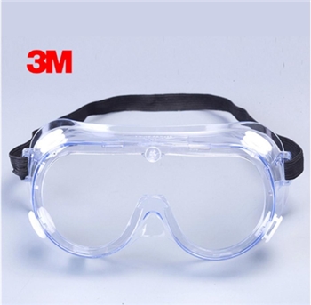 3M 1621 IN Plus Protective Eyewear